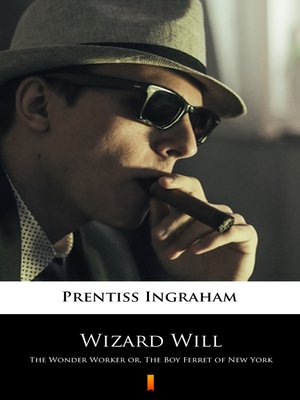 cover image of Wizard Will